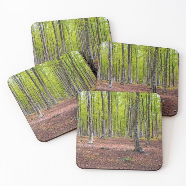 Item preview, Woods in Amiata Mountain in spring season, Tuscany, Italy designed and sold by anytka.