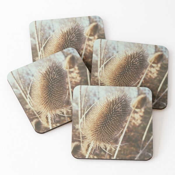 Item preview, Teasels  designed and sold by Bubblism.