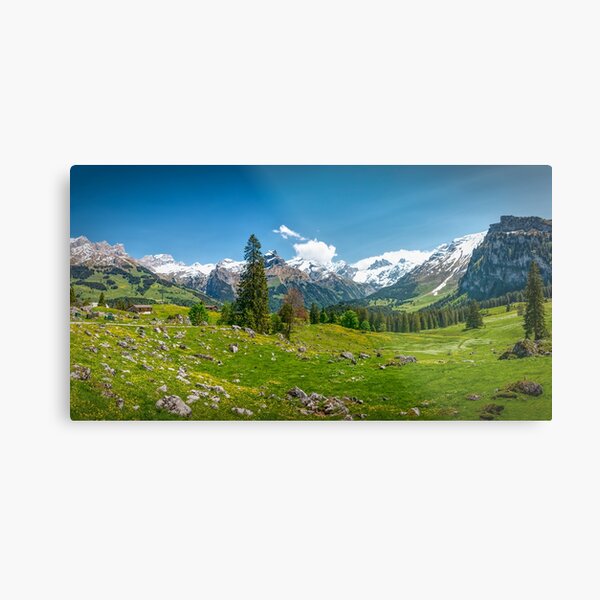 Meadow Panorama Metal Print