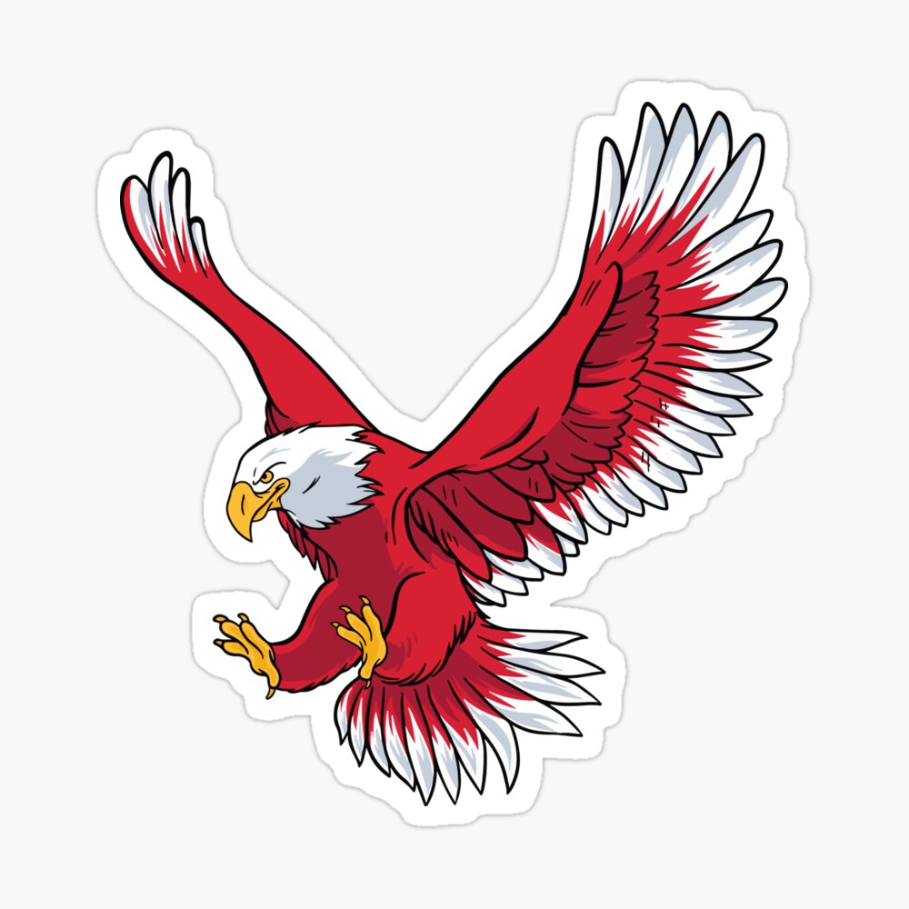 U/&MFashions Bald Eagle Falcon Kids Cotton T-Shirts Athletic Long-Sleeves Clothes