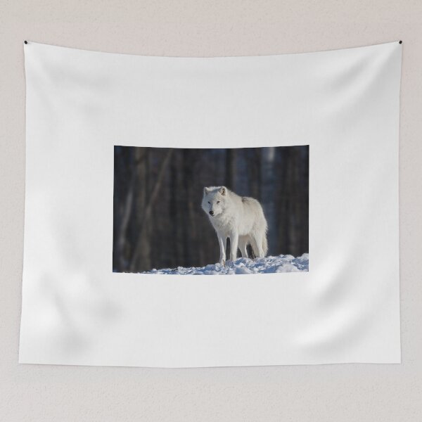 Item preview, Arctic wolf designed and sold by James Cumming.
