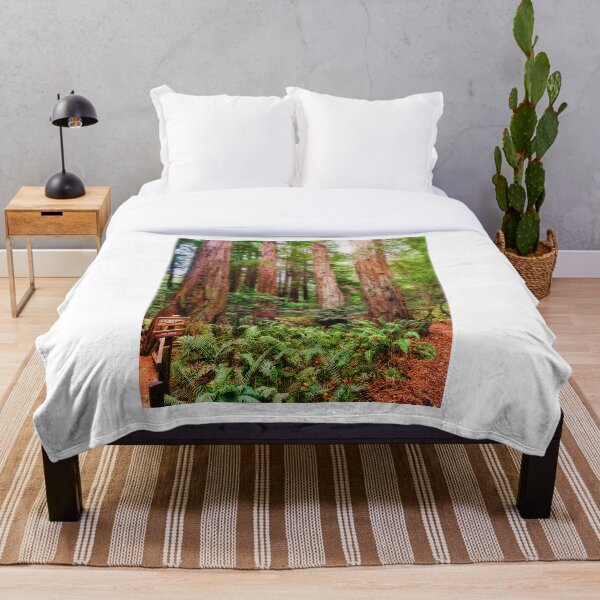Item preview, Cathedral Grove in Muir Woods designed and sold by dbvirago.