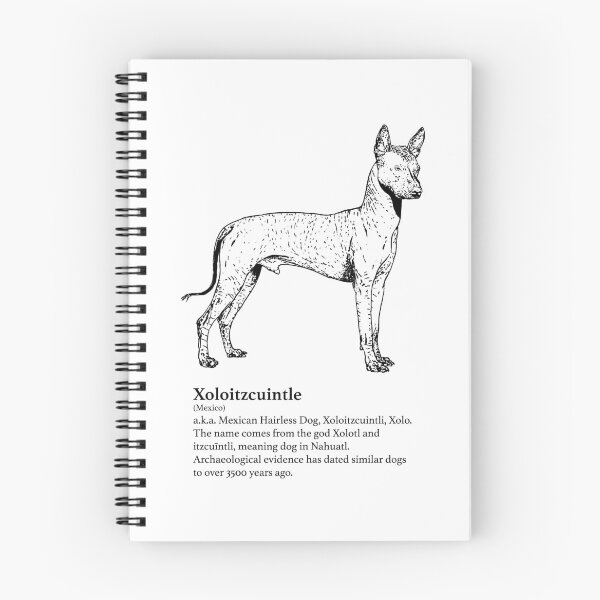 Item preview, Xoloitzcuintle designed and sold by canis-mundi.