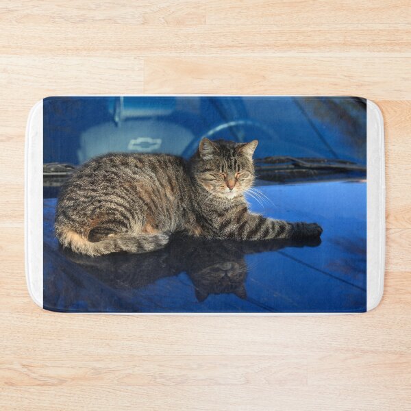 Item preview, sleeping cat on car designed and sold by olena2552.