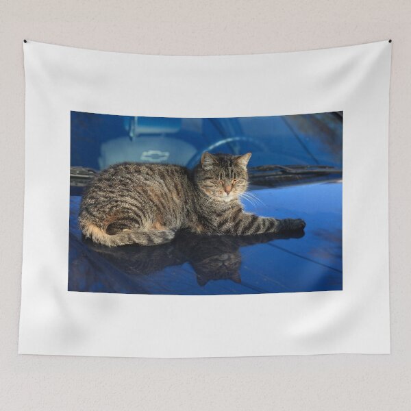 Item preview, sleeping cat on car designed and sold by olena2552.