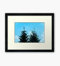 Twins Framed Print
