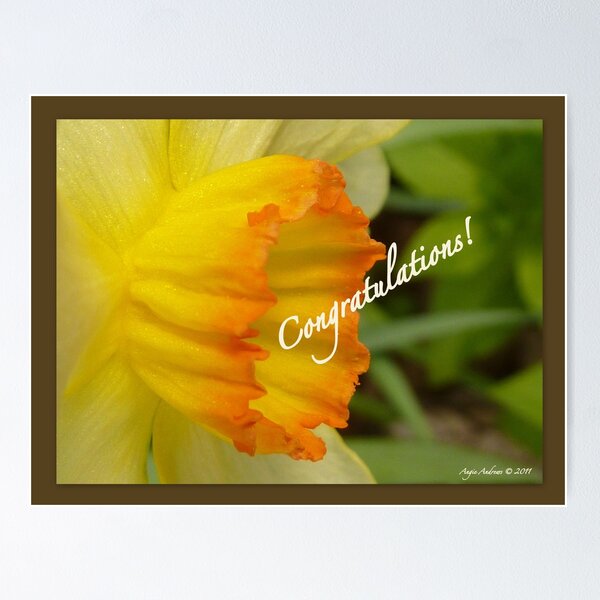 Item preview, Congratulations! designed and sold by Angele Ann  Andrews.