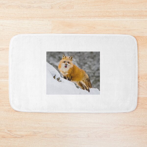 Item preview, Red Fox 1 designed and sold by Gerard Fornarotto.