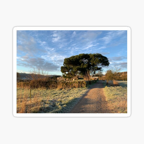 Camino de Santiago Sticker