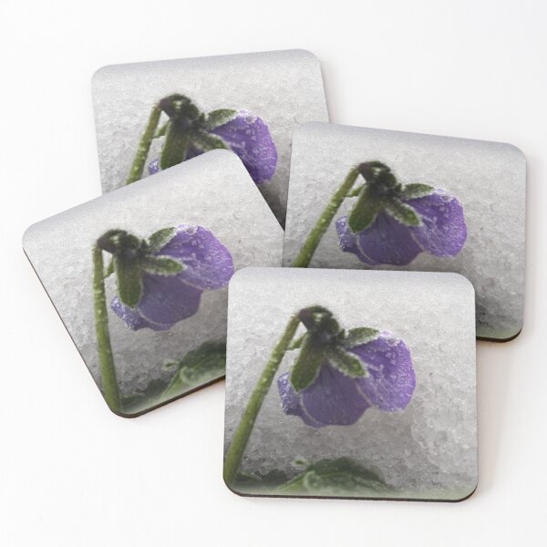 Item preview, Pansy in snow designed and sold by feiermar.