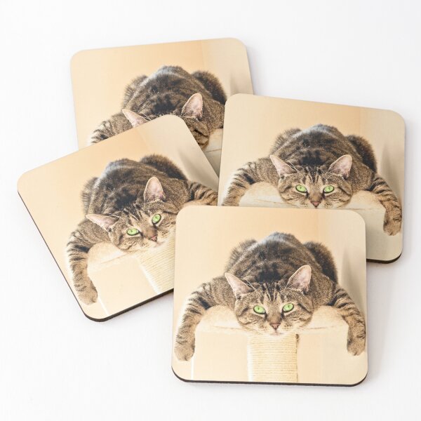 Item preview, Splat Cat designed and sold by Terri Waters Photography & Design.