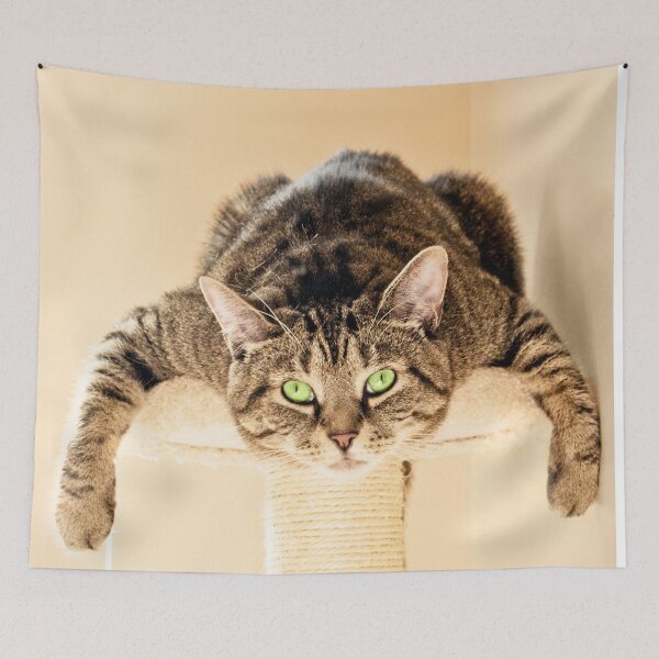 Item preview, Splat Cat designed and sold by Terri Waters Photography & Design.