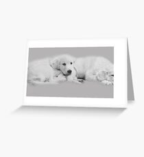 Best Friends Greeting Card