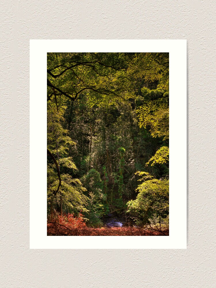 Alternate view of Birks of Aberfeldy (1) Art Print