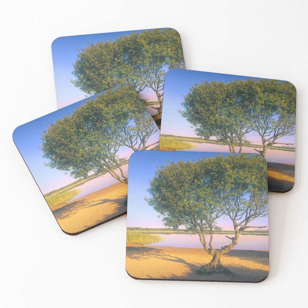 Item preview, Coasters (Set of 4) designed and sold by RJDowns.