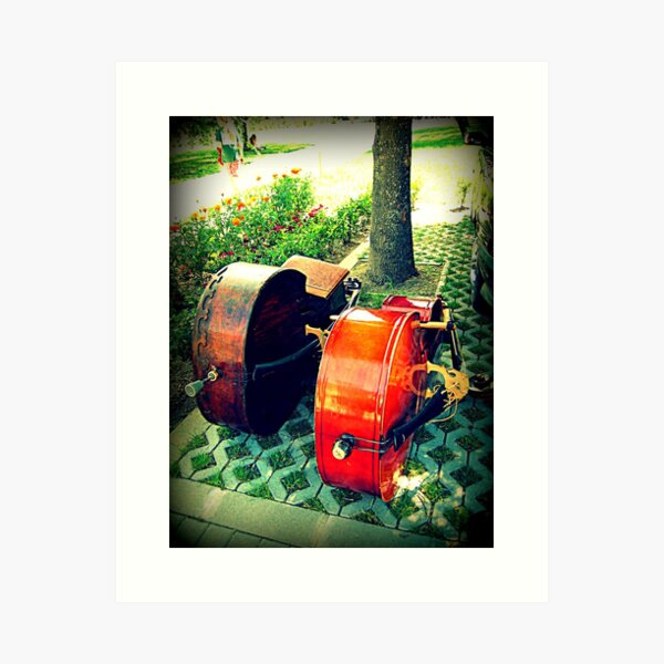 Double Bass Couple Art Print
