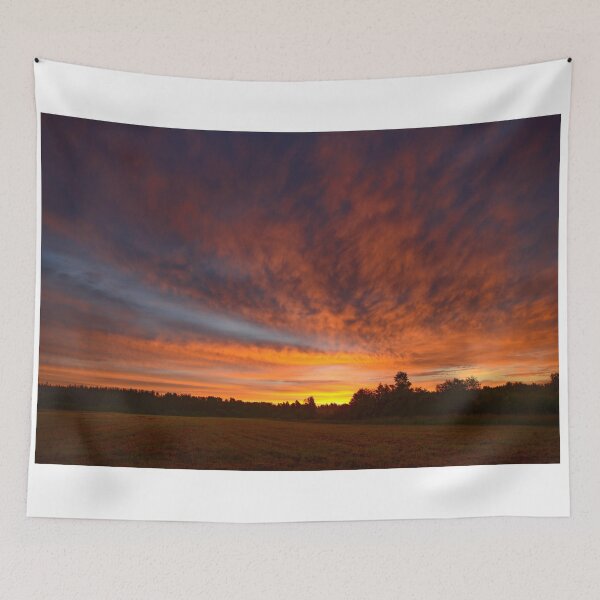 Item preview, Colorful sunrise on the sky over the field designed and sold by yarvin13.