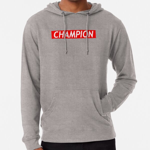 fake champion jumper