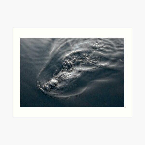 Lost and Lonely Art Print