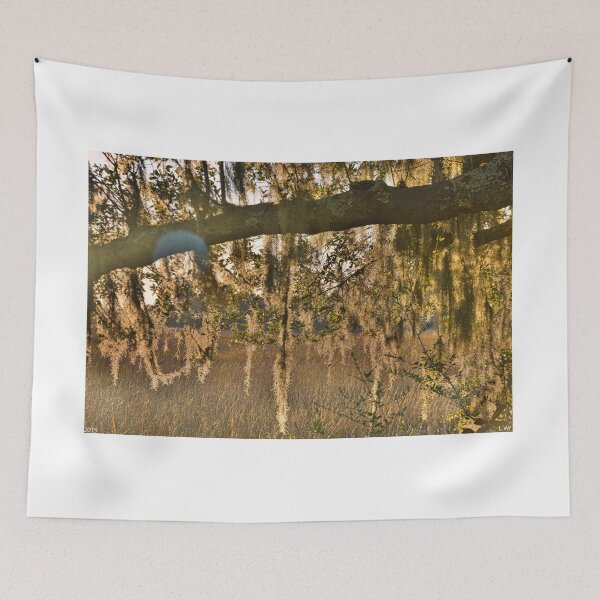 Item preview, Draped In Beauty designed and sold by LisaWootenPhoto.