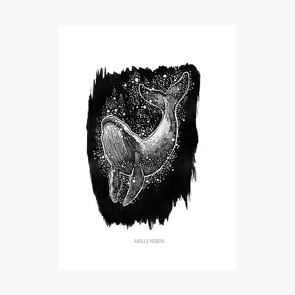 Ink 2019 - Whale Photographic Print