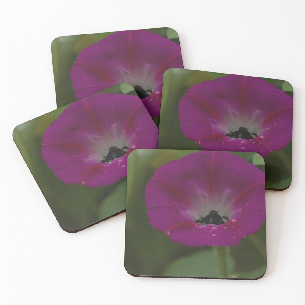 Item preview, Coasters (Set of 4) designed and sold by Riddick4x5.