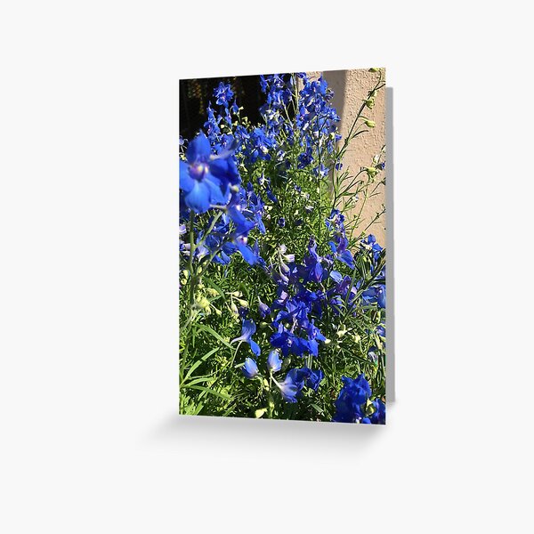 Purple Petunias Greeting Card