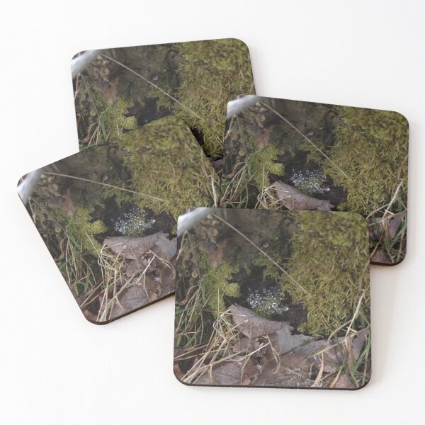 Item preview, Patch of early morning hidden dew designed and sold by Mike Cicero.