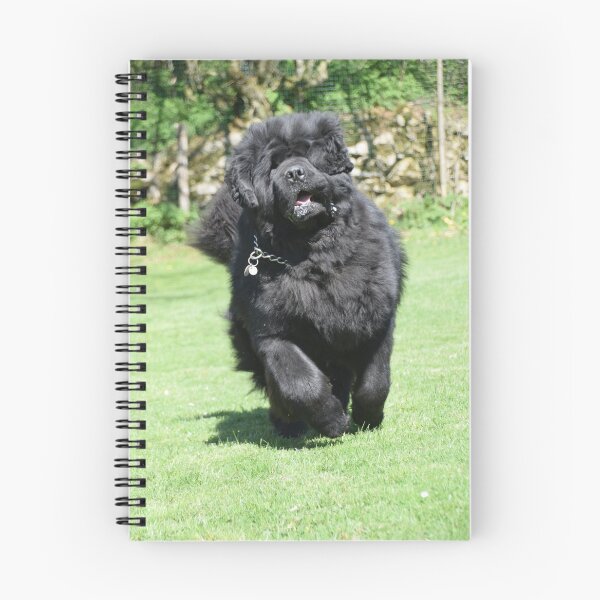 Item preview, Newfoundland dog galloping! designed and sold by LM-SDC.