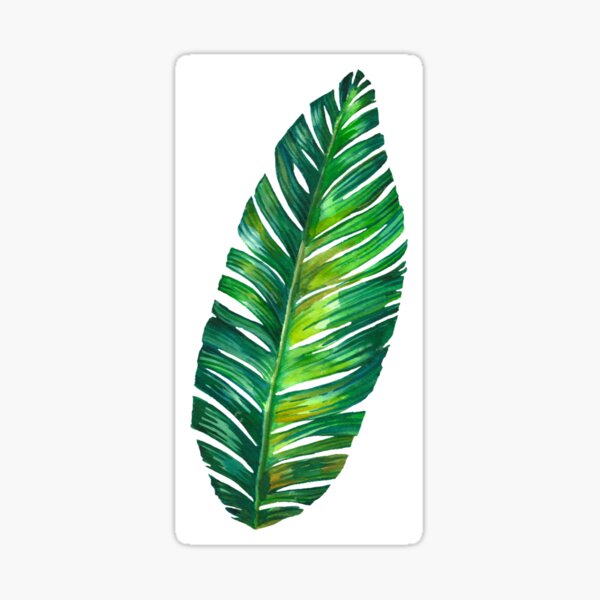 Big Leaf Sticker