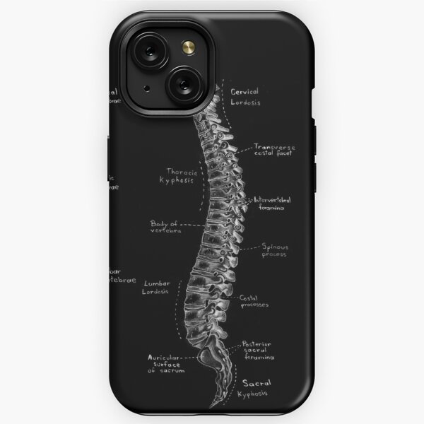 Funda para iPhone 12 mini fisioterapia Rainbow PT PTA Terapia fisioterapeuta