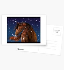 Horse Postcards
