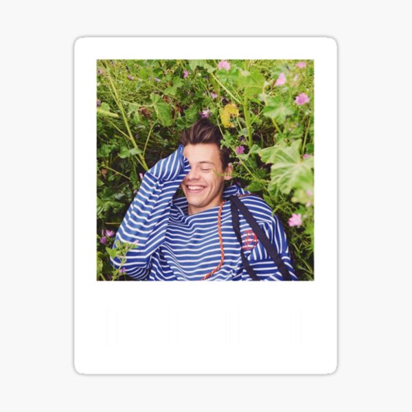 Harry Style Polaroid Sticker Sticker