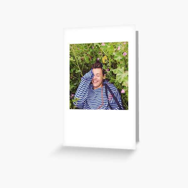 Harry Style Polaroid Sticker Greeting Card