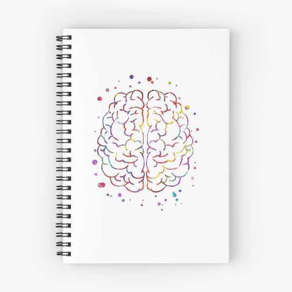 Item preview, Brain anatomy, medical art, brain top, brain front, watercolor Brain designed and sold by Rosaliartbook.