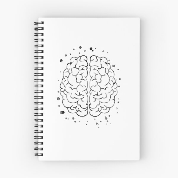 Item preview, Brain anatomy, medical art, brain top, brain front, watercolor Brain designed and sold by Rosaliartbook.