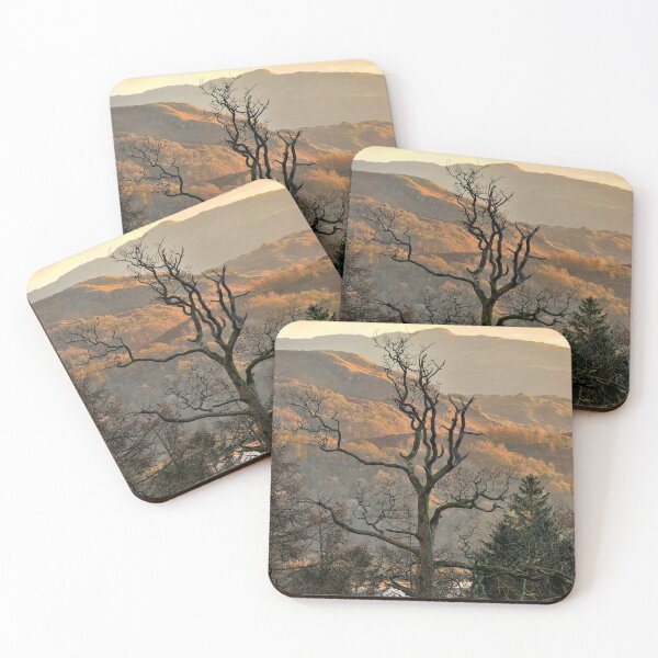 Item preview, Naked Tree designed and sold by FyldePhotos.