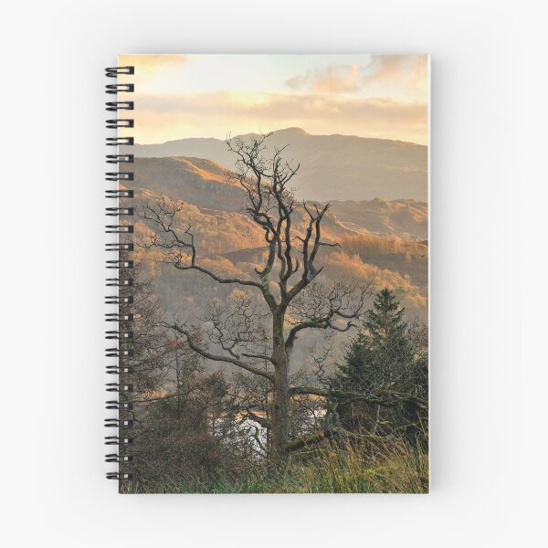 Item preview, Naked Tree designed and sold by FyldePhotos.