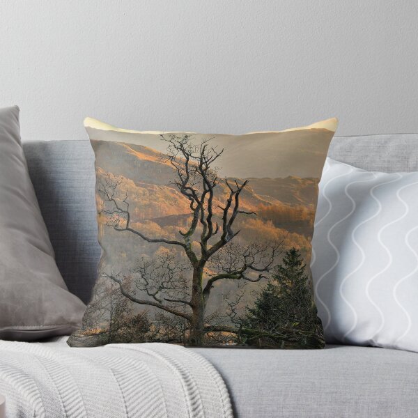 Item preview, Naked Tree designed and sold by FyldePhotos.