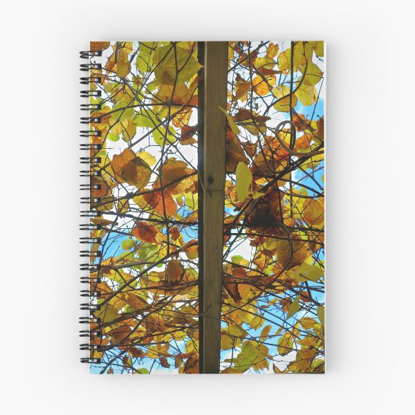 Item preview, Under the Autumn Arbor designed and sold by ADM  Photography.