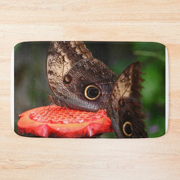 Item preview, Owl butterflies on feeder designed and sold by GreyFeatherPhot.