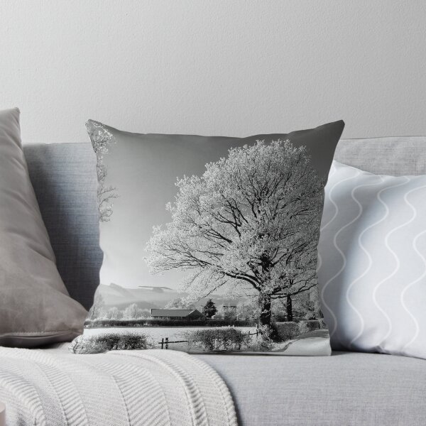 Item preview, Ice and Snow......in Black and White...??!! designed and sold by brimel55.