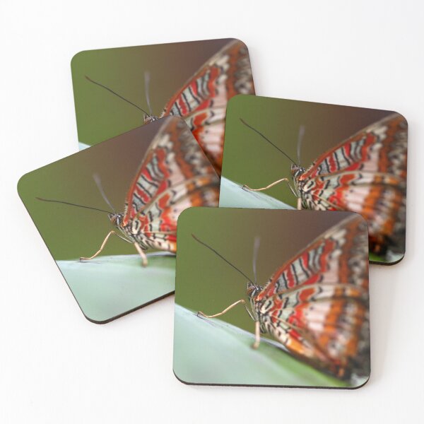 Item preview, Malay lacewing designed and sold by GreyFeatherPhot.