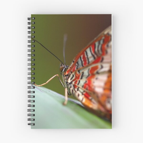Item preview, Malay lacewing designed and sold by GreyFeatherPhot.