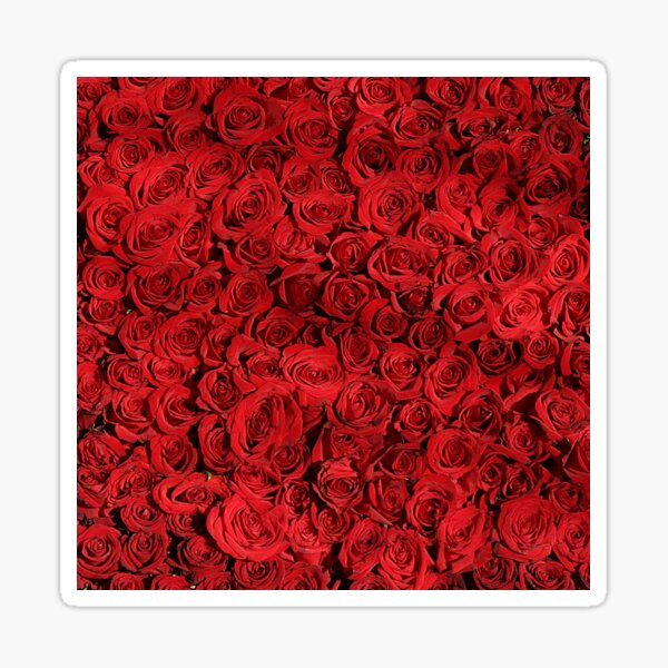 Beautiful Red Roses Pattern, RBSSG Sticker