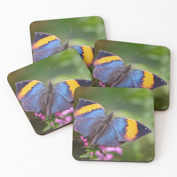 Item preview, Indian leaf butterfly designed and sold by GreyFeatherPhot.