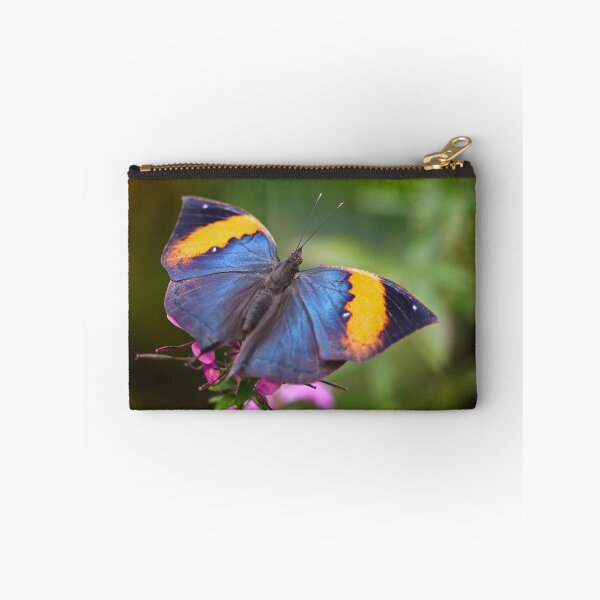 Item preview, Indian leaf butterfly designed and sold by GreyFeatherPhot.