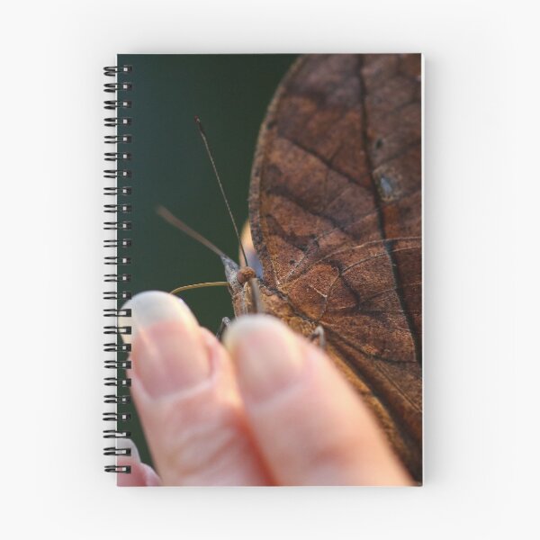 Item preview, Indian leaf butterfly camouflage designed and sold by GreyFeatherPhot.