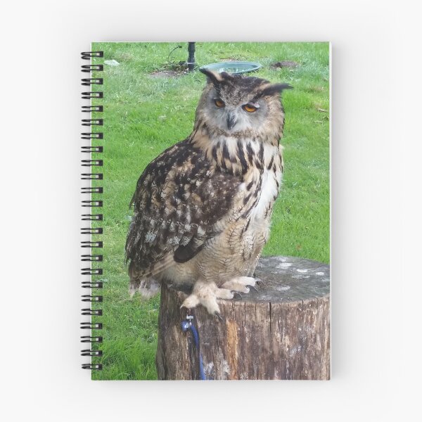 Item preview, Eagle owl designed and sold by DeeWishies.