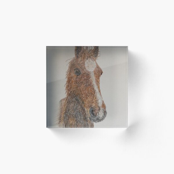 Hilly Acrylic Block